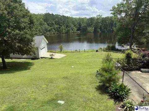 159 Ridge Rd, Cheraw, SC 29520 photo 40