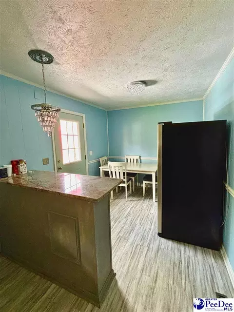 1213 E Washington St, Dillon, SC 29536 photo 8