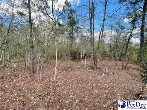 0000 Us Hwy 152 Truck Route Byp, Cheraw, SC 29520