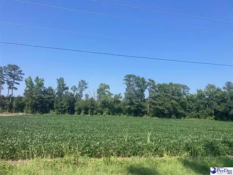 tbd W Main St, Dillon, SC 29536
