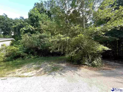 102 2nd Ave, Bennettsville, SC 29512