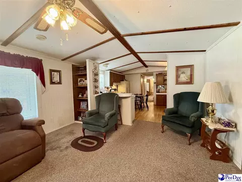 1817 Southern Acres Loop, Dillon, SC 29536 photo 30