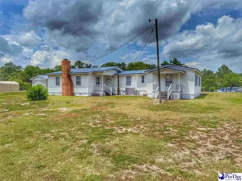 1817 Southern Acres Loop, Dillon, SC 29536 photo 17