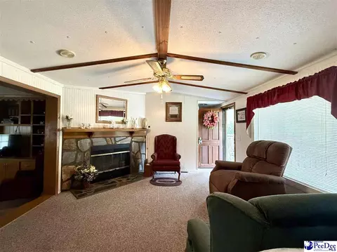 1817 Southern Acres Loop, Dillon, SC 29536 photo 27