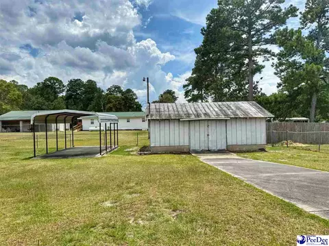 1817 Southern Acres Loop, Dillon, SC 29536 photo 15