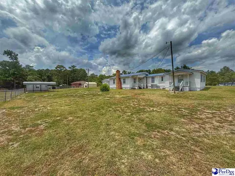 1817 Southern Acres Loop, Dillon, SC 29536 photo 25