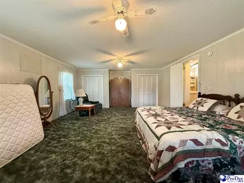 1817 Southern Acres Loop, Dillon, SC 29536 photo 58