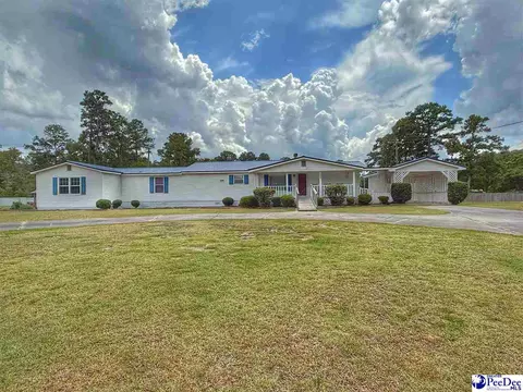 1817 Southern Acres Loop, Dillon, SC 29536 photo 5