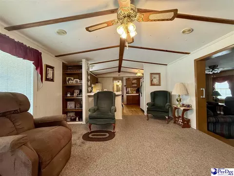 1817 Southern Acres Loop, Dillon, SC 29536 photo 32