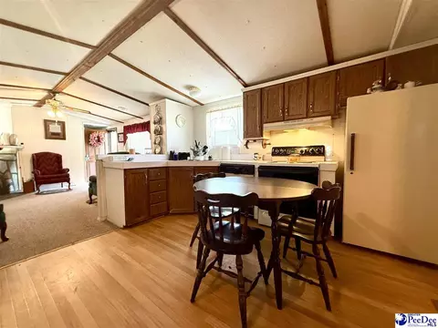 1817 Southern Acres Loop, Dillon, SC 29536 photo 45