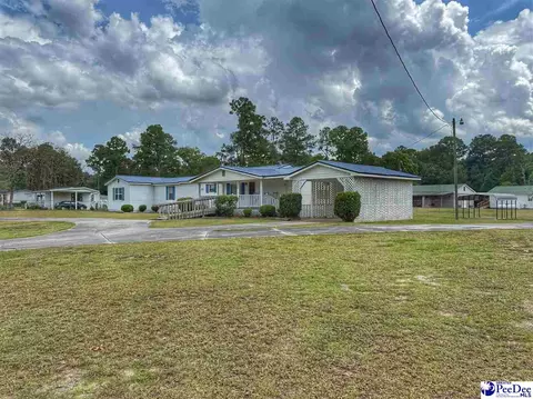 1817 Southern Acres Loop, Dillon, SC 29536 photo 3