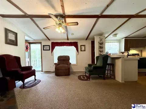 1817 Southern Acres Loop, Dillon, SC 29536 photo 29