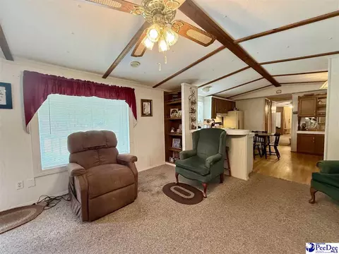 1817 Southern Acres Loop, Dillon, SC 29536 photo 31