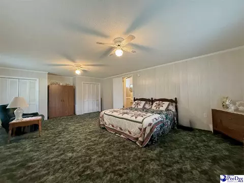 1817 Southern Acres Loop, Dillon, SC 29536 photo 59