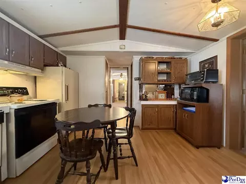 1817 Southern Acres Loop, Dillon, SC 29536 photo 47