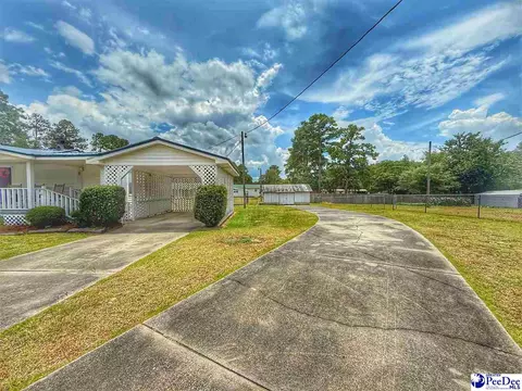 1817 Southern Acres Loop, Dillon, SC 29536 photo 13