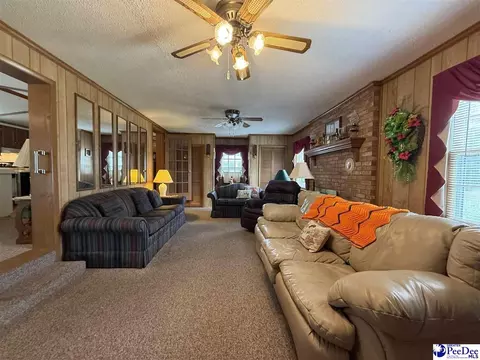 1817 Southern Acres Loop, Dillon, SC 29536 photo 37