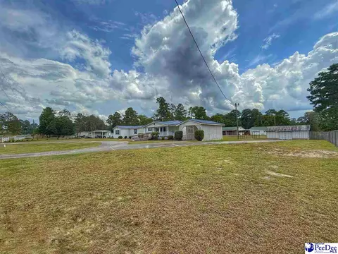 1817 Southern Acres Loop, Dillon, SC 29536 photo 2