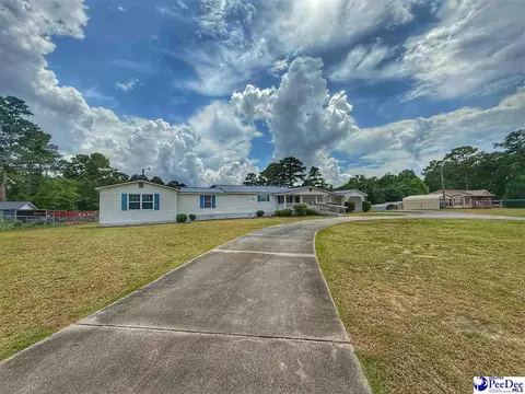 1817 Southern Acres Loop, Dillon, SC 29536 photo 6