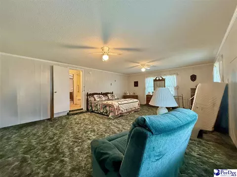 1817 Southern Acres Loop, Dillon, SC 29536 photo 60