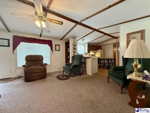 1817 Southern Acres Loop, Dillon, SC 29536 photo 28
