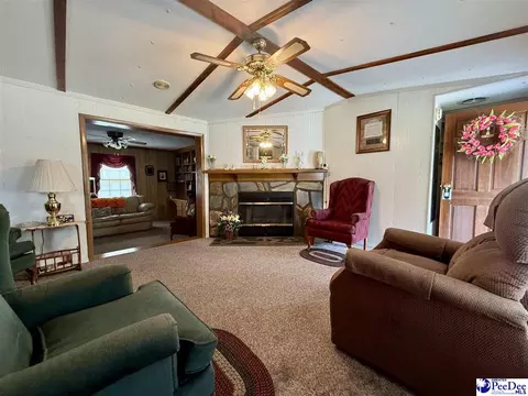1817 Southern Acres Loop, Dillon, SC 29536 photo 34