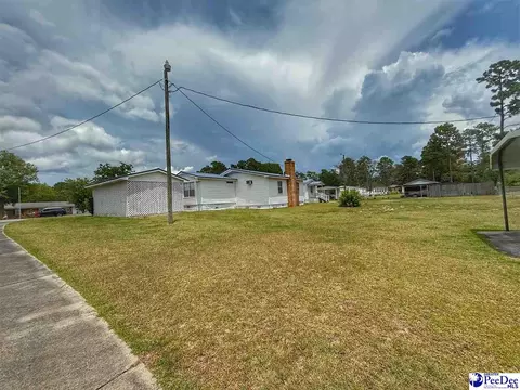 1817 Southern Acres Loop, Dillon, SC 29536 photo 14