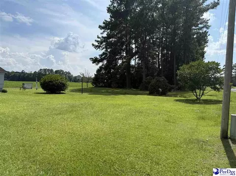 357 Loggers Rd, Hemingway, SC 29554 photo 9