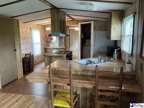 357 Loggers Rd, Hemingway, SC 29554 photo 15