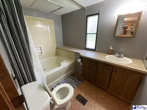 357 Loggers Rd, Hemingway, SC 29554 photo 18