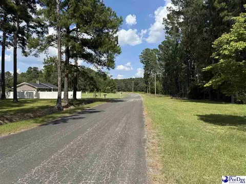 357 Loggers Rd, Hemingway, SC 29554 photo 21
