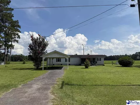 357 Loggers Rd, Hemingway, SC 29554 photo 8