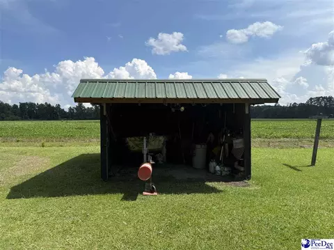 357 Loggers Rd, Hemingway, SC 29554 photo 6