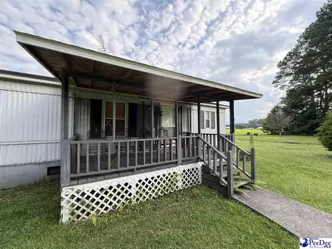 357 Loggers Rd, Hemingway, SC 29554 photo 3
