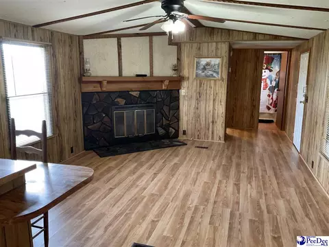 357 Loggers Rd, Hemingway, SC 29554 photo 14