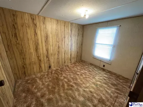357 Loggers Rd, Hemingway, SC 29554 photo 19