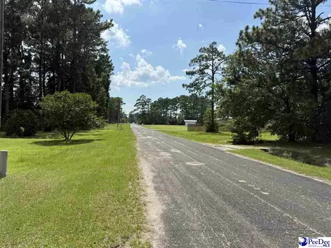 357 Loggers Rd, Hemingway, SC 29554 photo 22