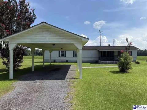 357 Loggers Rd, Hemingway, SC 29554 photo 1