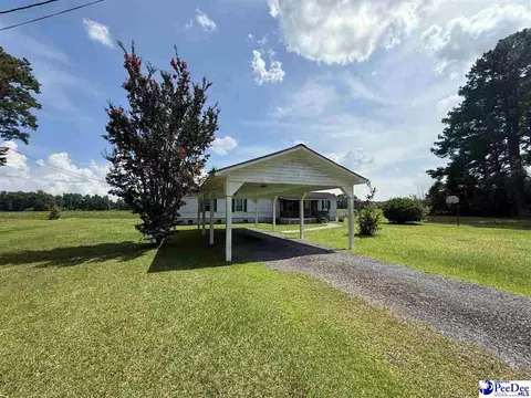 357 Loggers Rd, Hemingway, SC 29554 photo 2