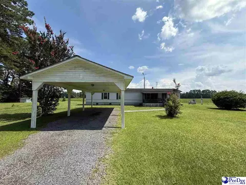 357 Loggers Rd, Hemingway, SC 29554 photo 4