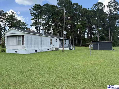 357 Loggers Rd, Hemingway, SC 29554 photo 5