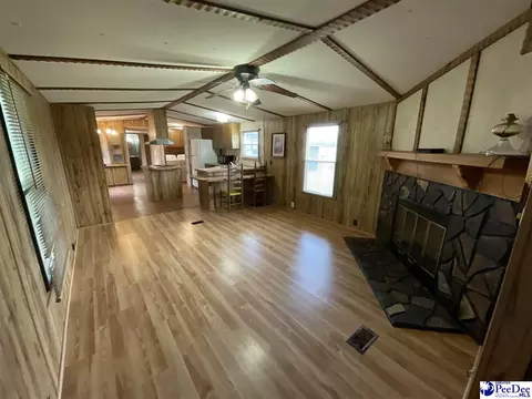 357 Loggers Rd, Hemingway, SC 29554 photo 12