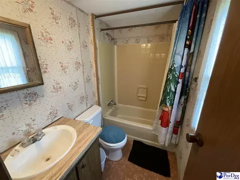 357 Loggers Rd, Hemingway, SC 29554 photo 20