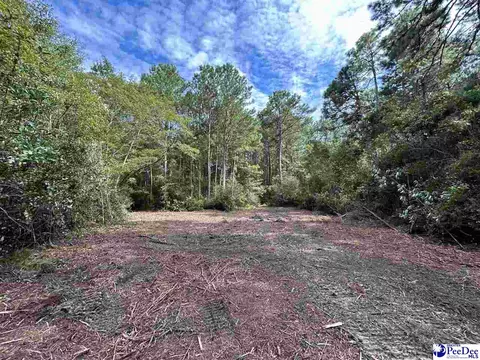 tbd Us Hwy 52, Cheraw, SC 29520