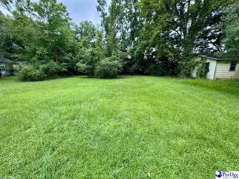 tbd Bank St, Sellers, SC 29592