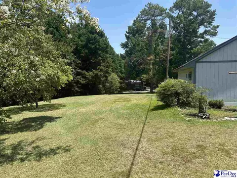 Exterior - 302 State Rd, Cheraw, SC 29520 photo 5 of 5