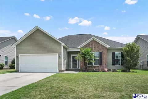 3018 Red Berry Cir, Effingham, SC 29541