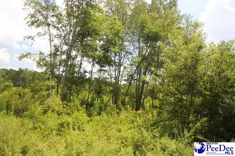224 Sweeney Rd, Chesterfield, SC 29709