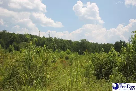 tbd Sweeney Rd, Chesterfield, SC 29709
