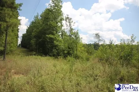 tbd Lot 2 Sweeney Rd, Chesterfield, SC 29709